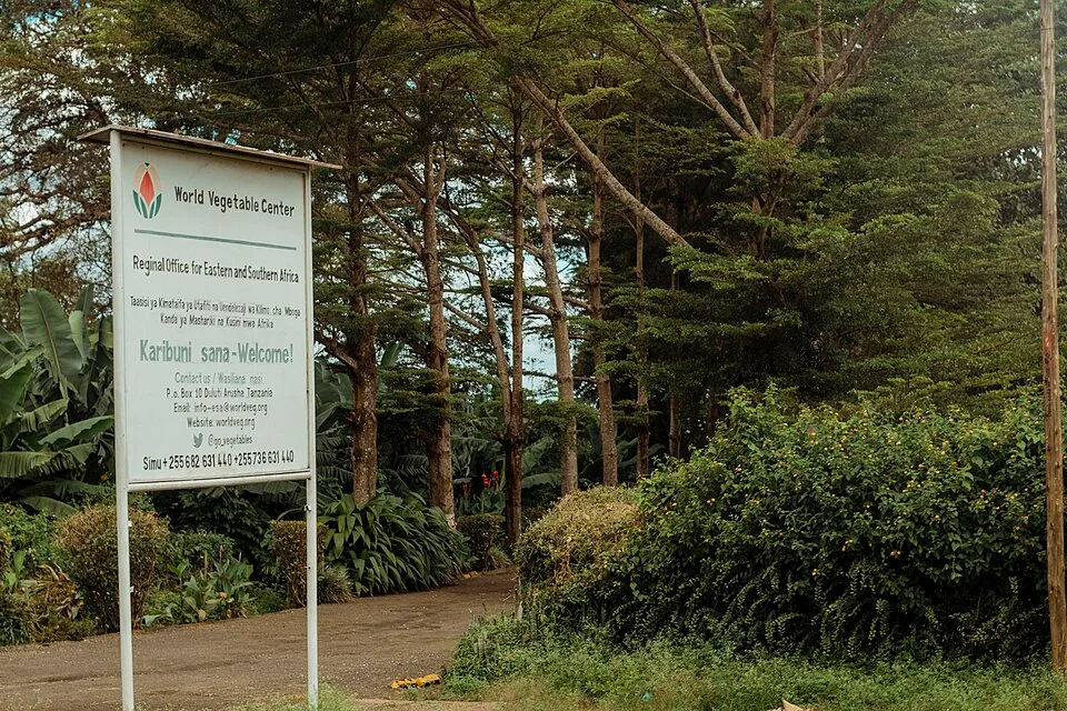 Vegetable genebank, World Vegetable Centre, Arusha