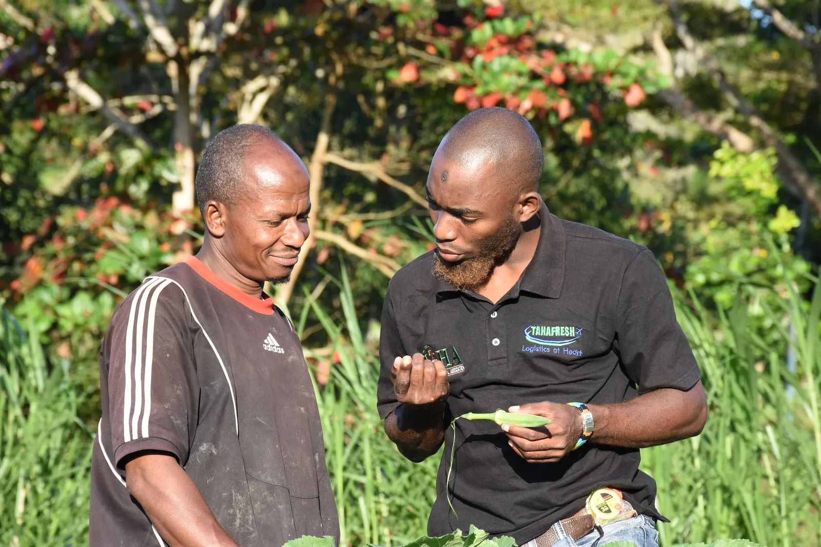 HortiLogistica Africa — ali pemba