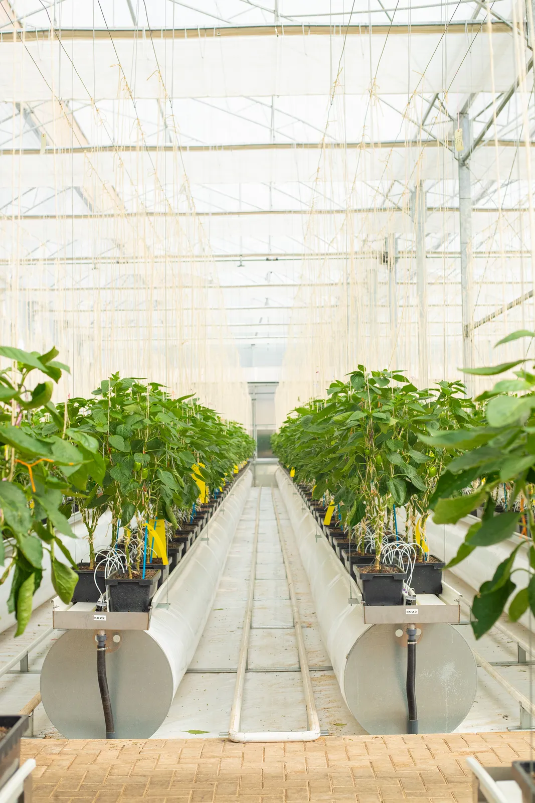 HortiLogistica Africa — ap8i0003