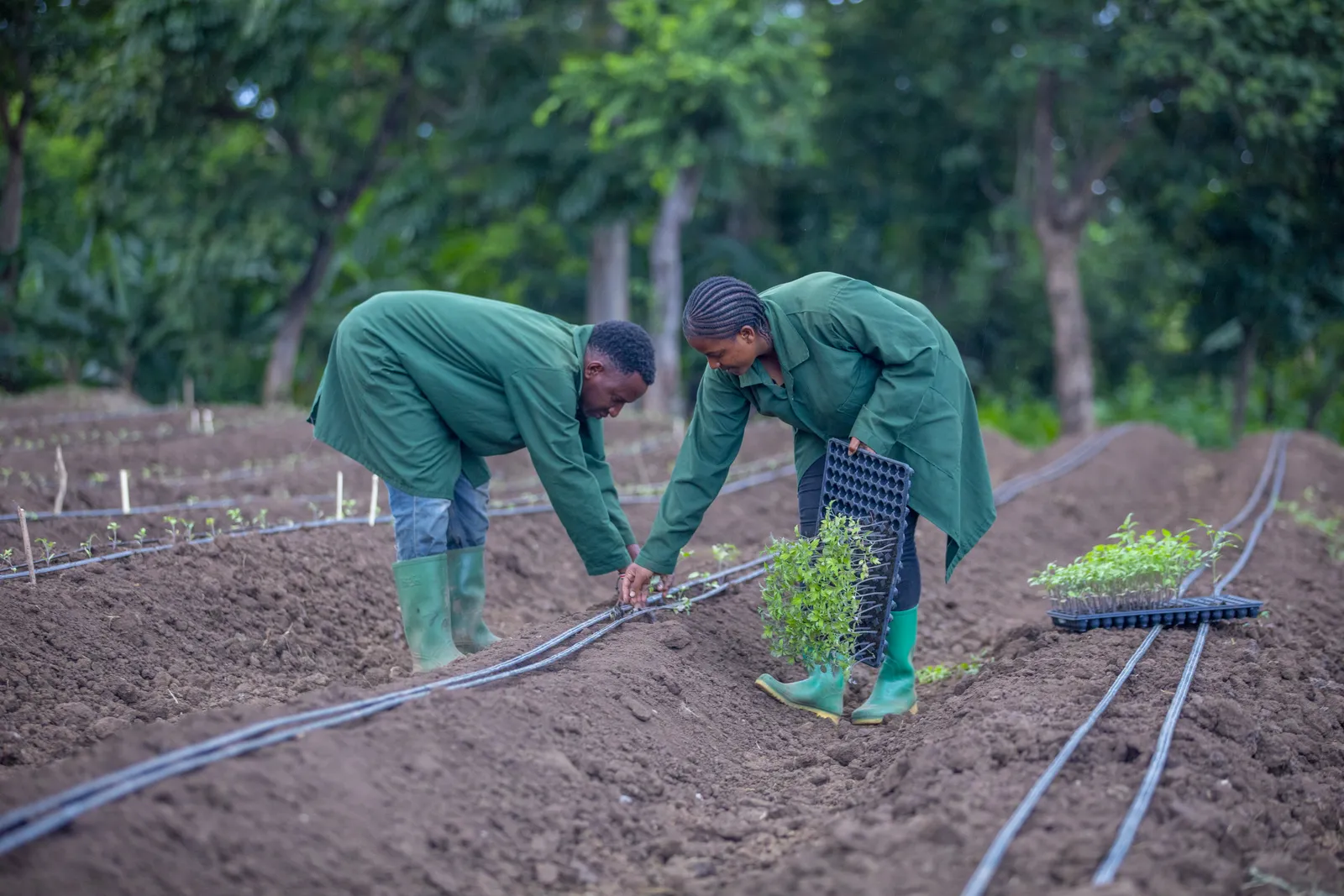 HortiLogistica Africa — bbt 4 10