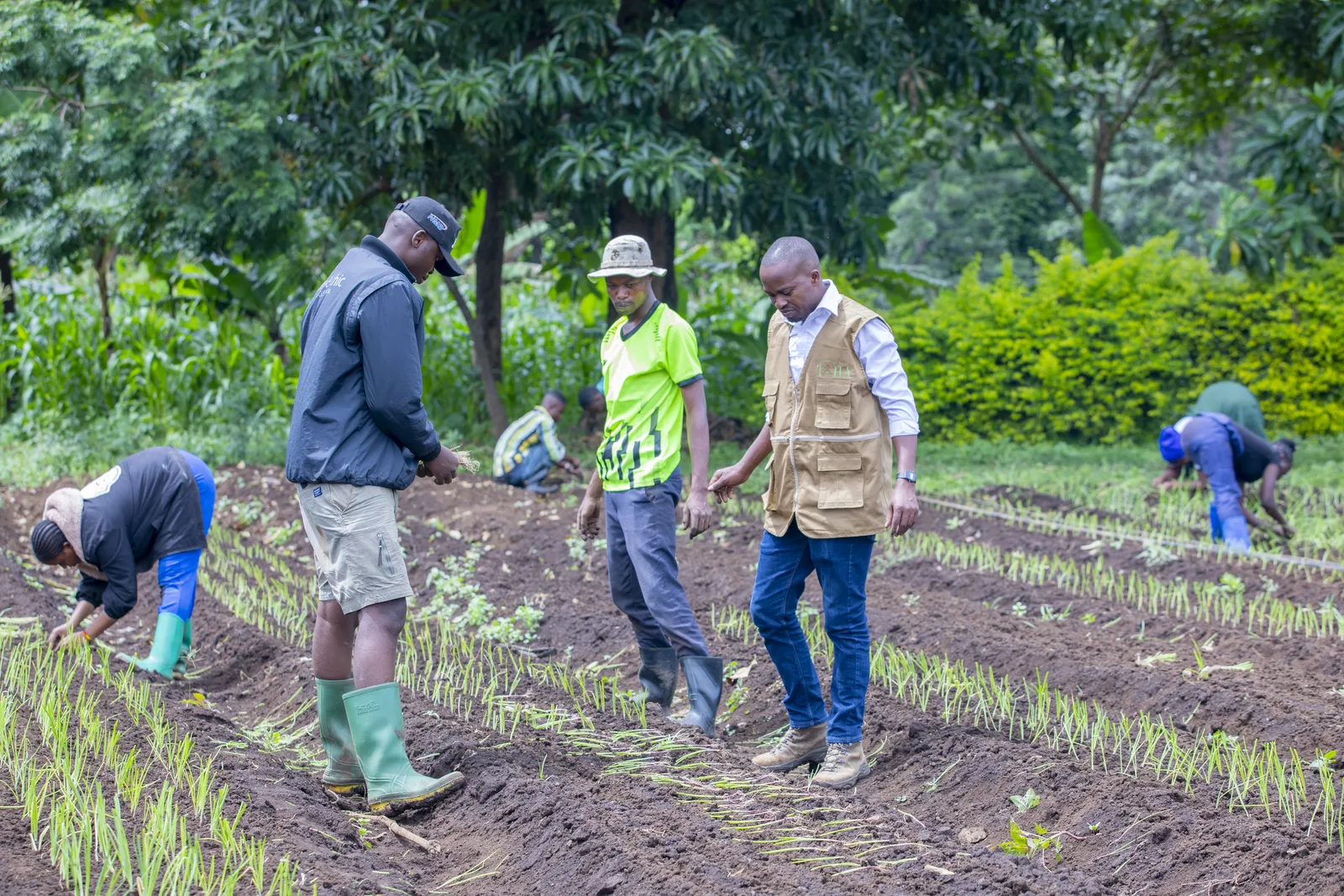 HortiLogistica Africa — bbt 4 31