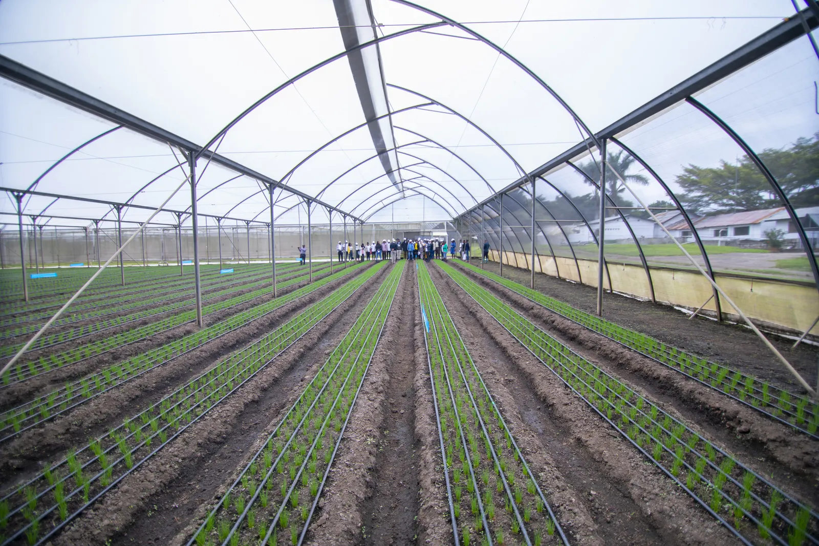 HortiLogistica Africa — bbt 5 18