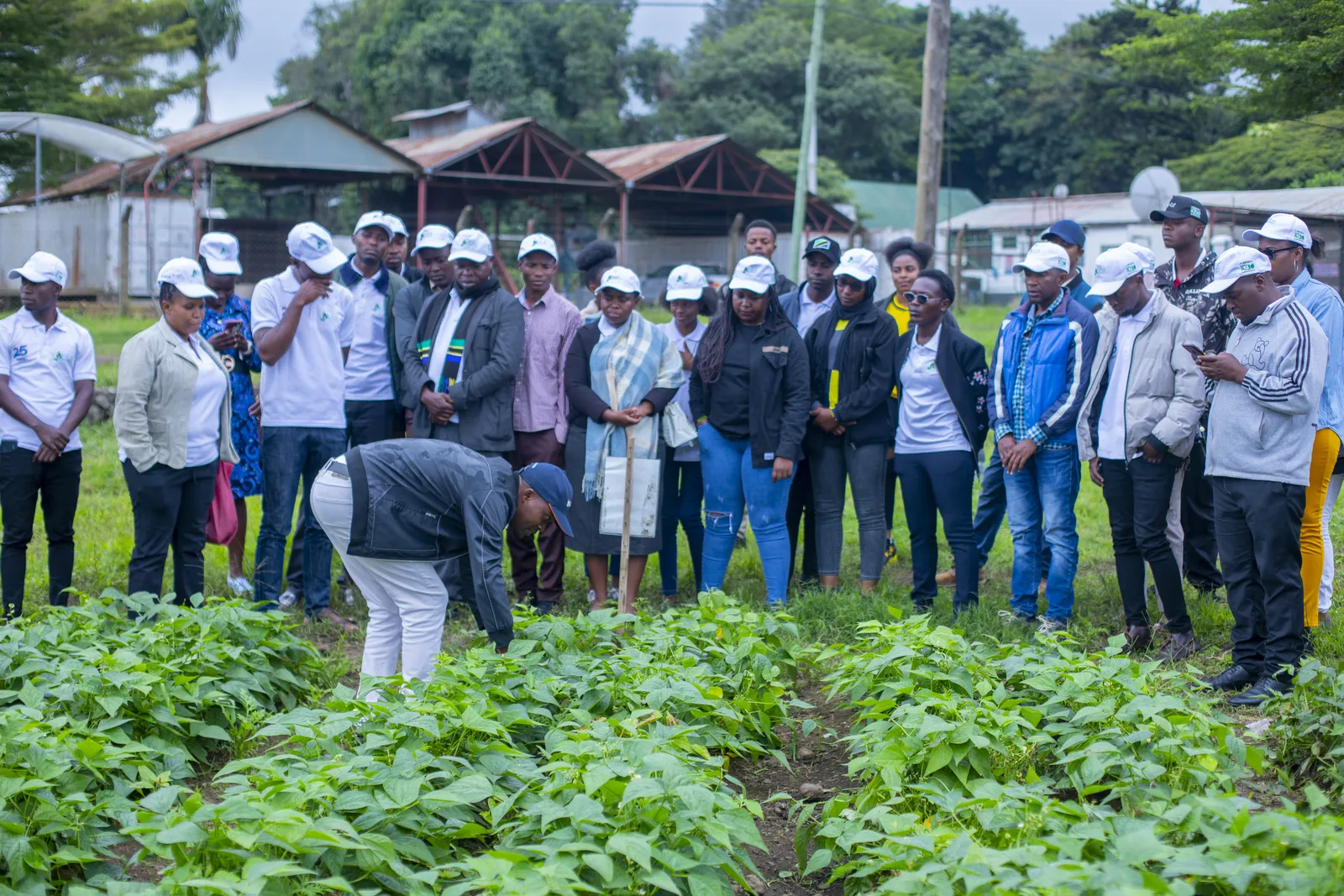 HortiLogistica Africa — bbt 5 4