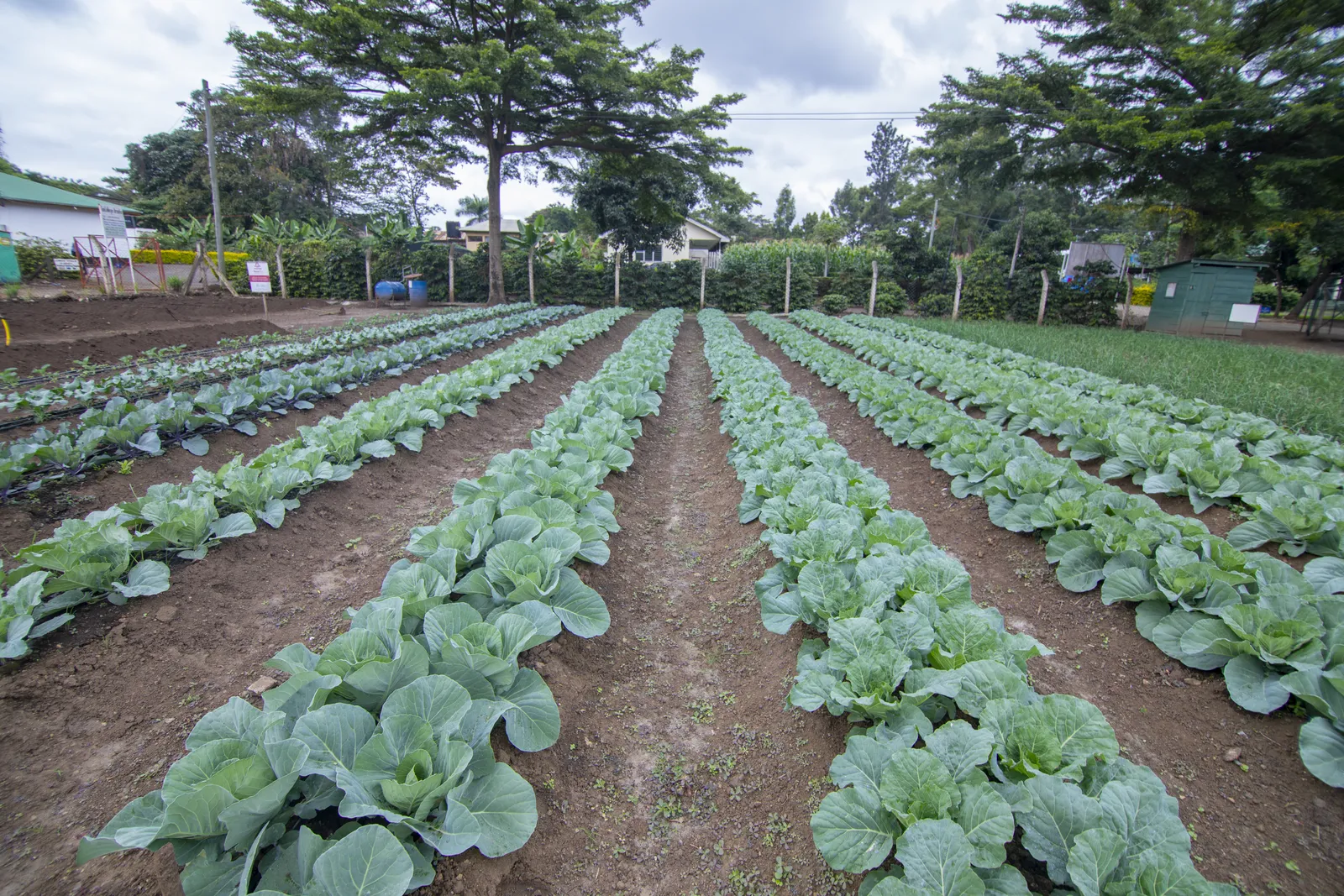 HortiLogistica Africa — bbt 5 47