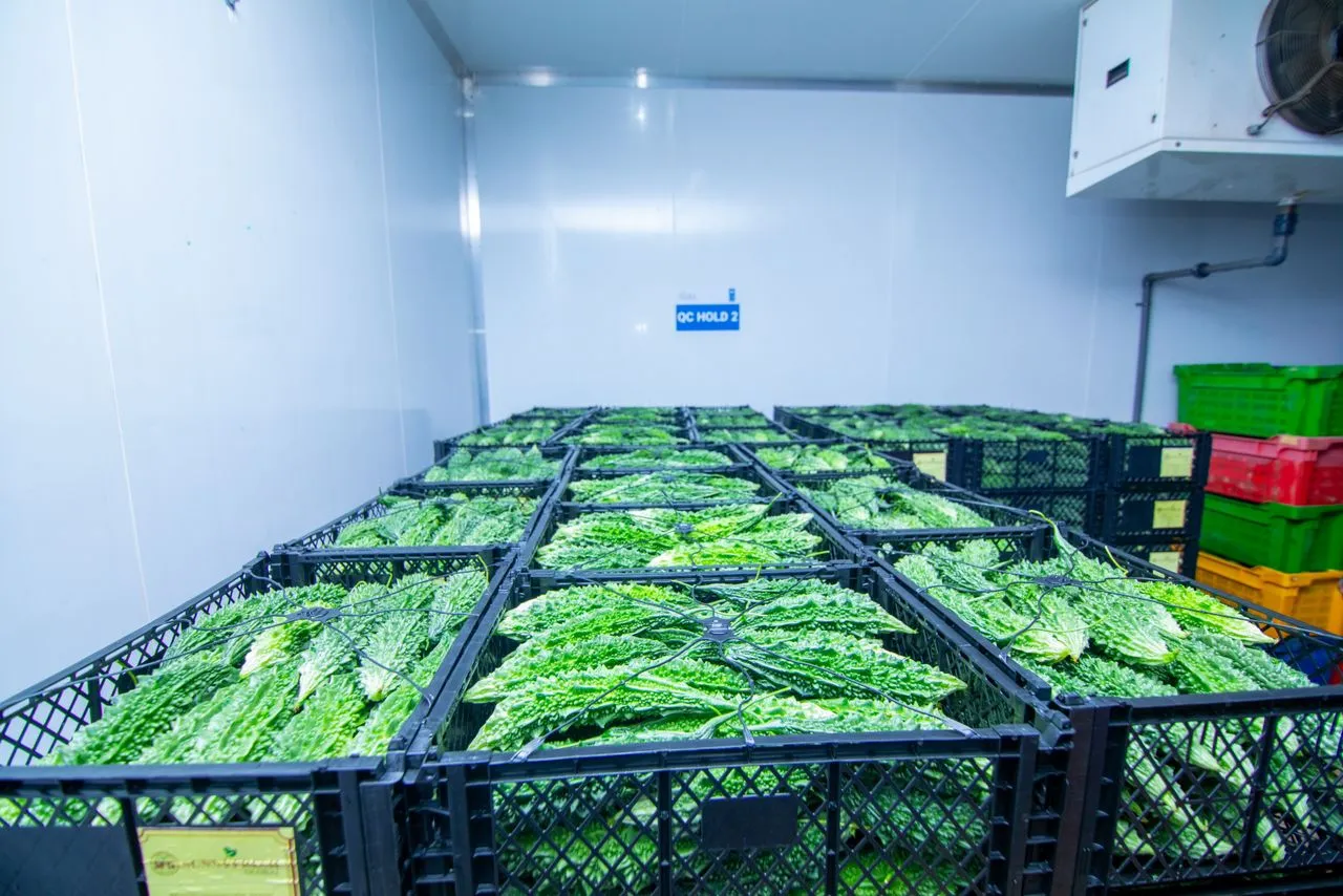 HortiLogistica Africa — cold room