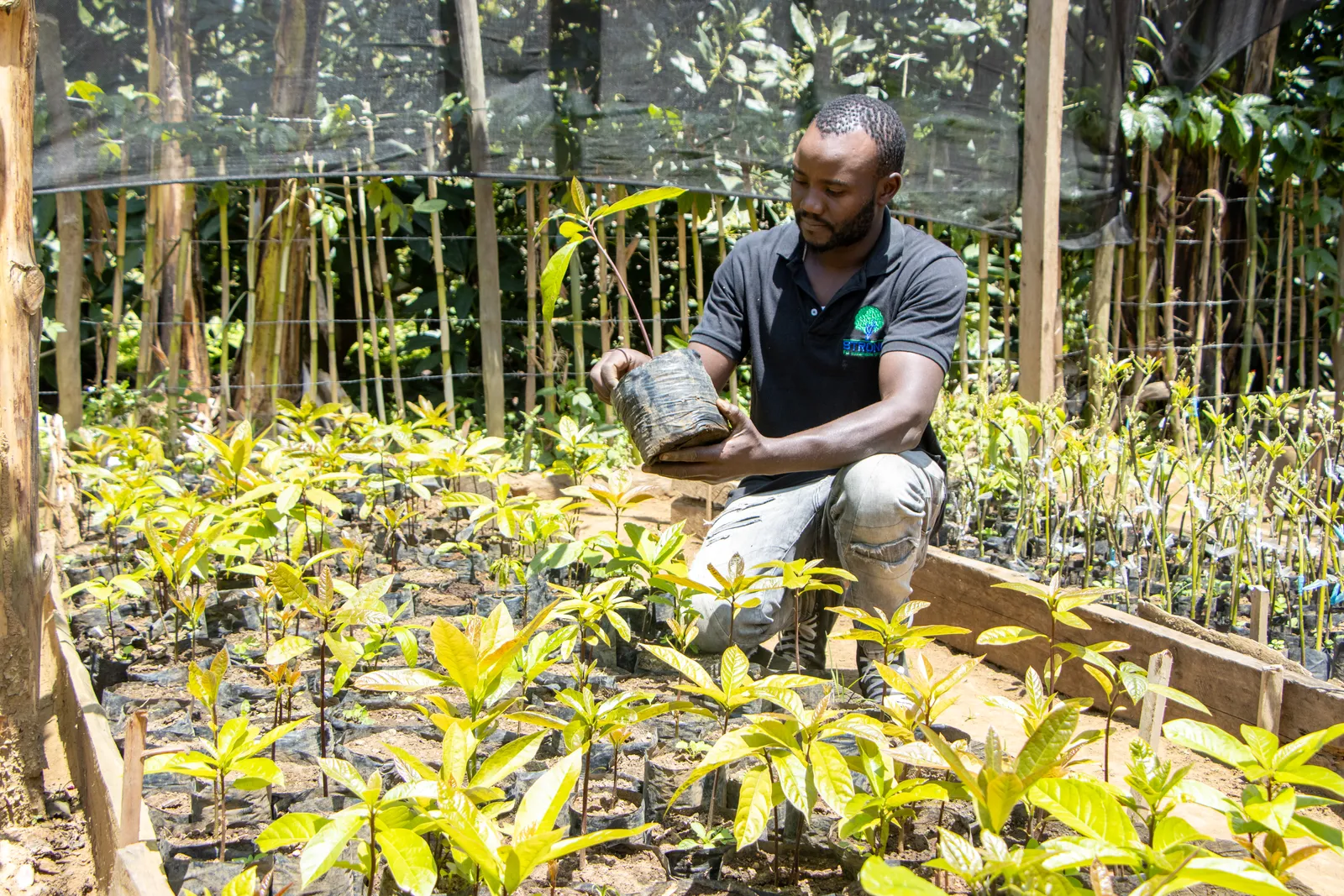 HortiLogistica Africa — james nyari 15