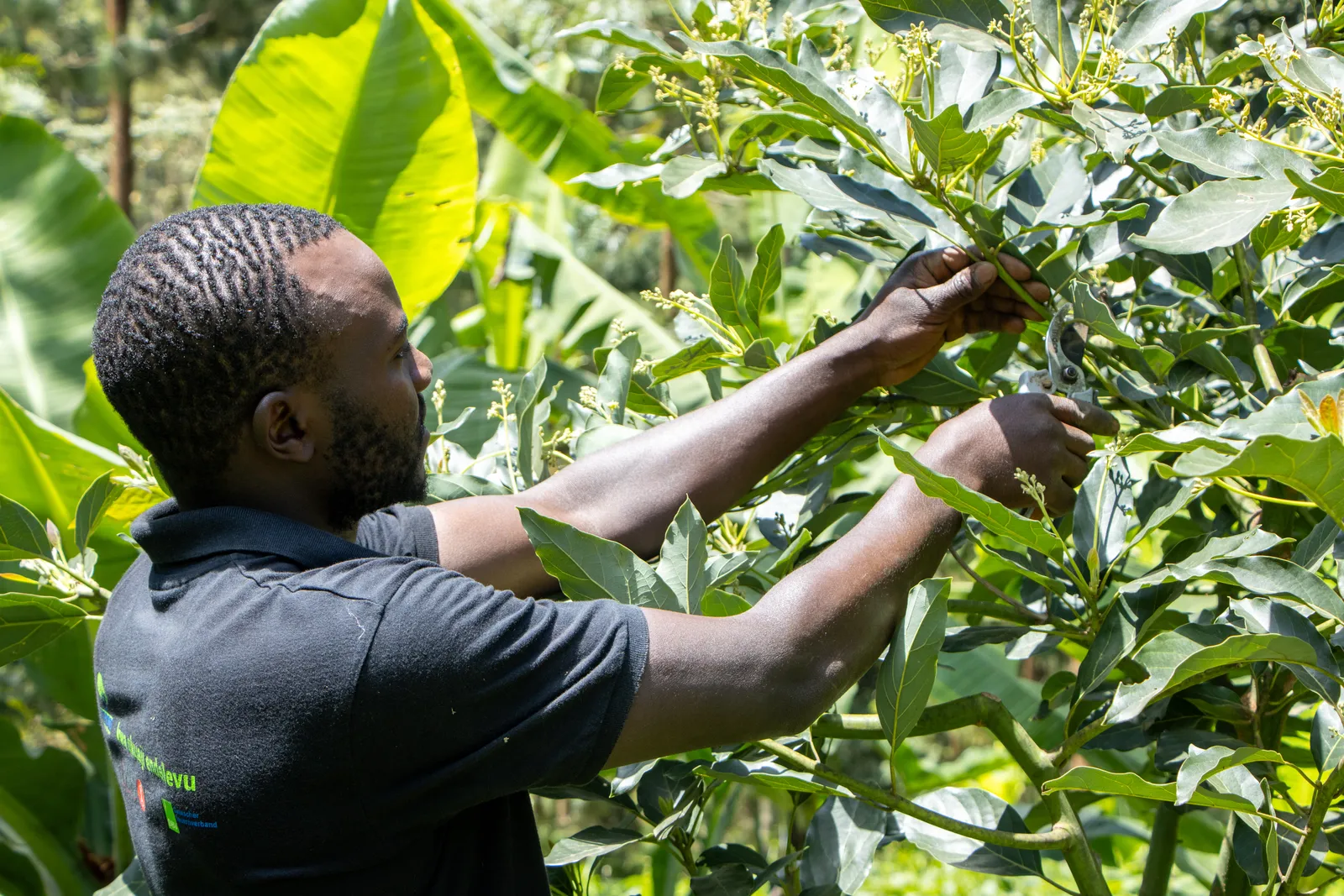 HortiLogistica Africa — james nyari 8