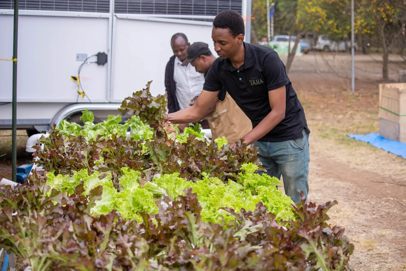 HortiLogistica Africa — jb 8