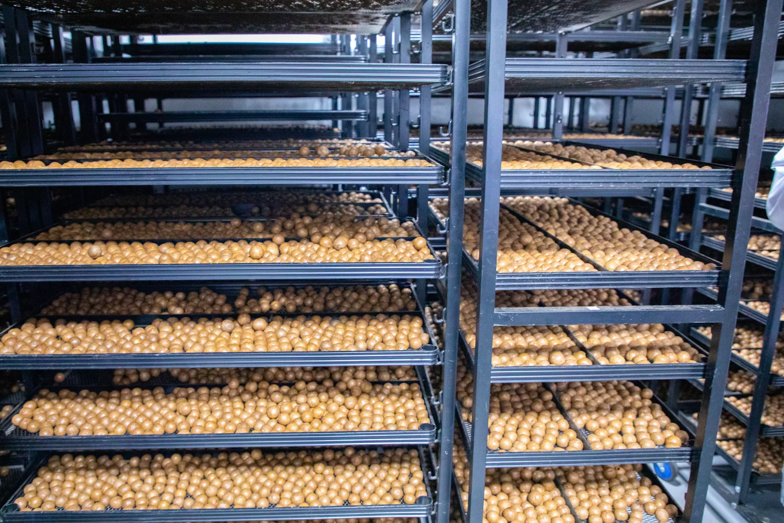 HortiLogistica Africa — macadamia investors 72