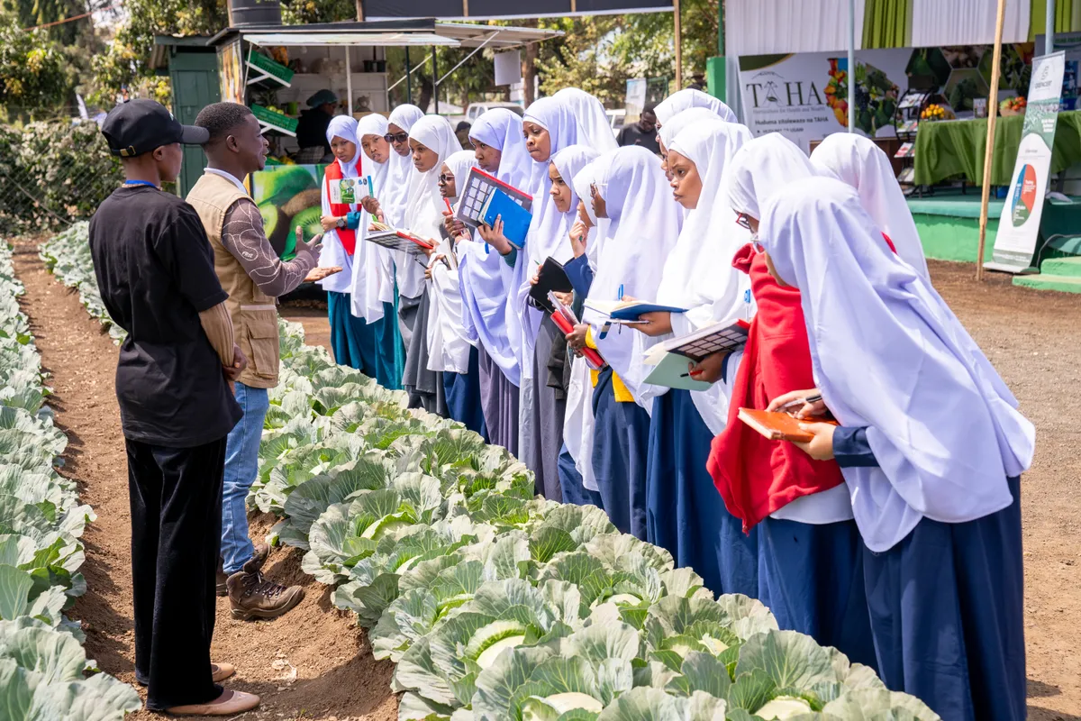 Students visiting the TAHA stand at Nane Nane, being shown a cabbage demonstration plot