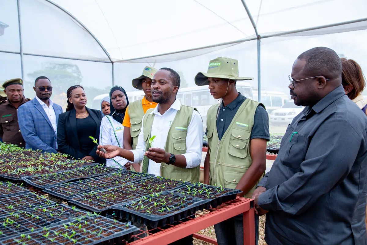 A TAHA agronomist showing seedling trays to visitors inside a greenhouse