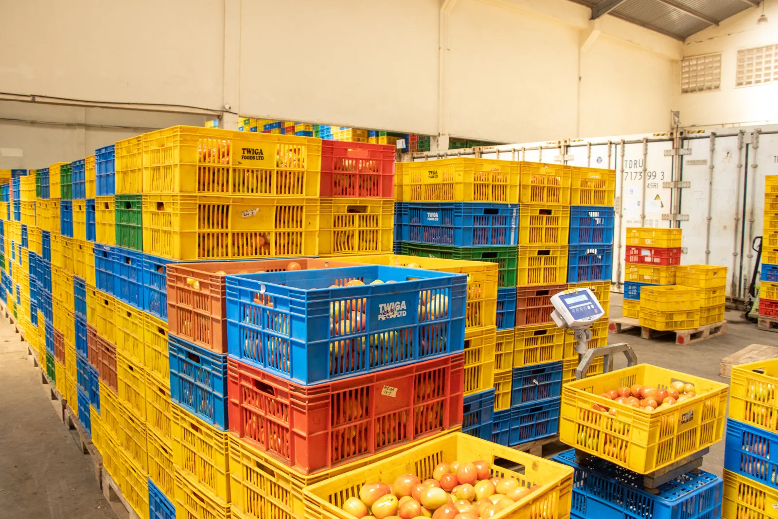 HortiLogistica Africa — packaging materials 4