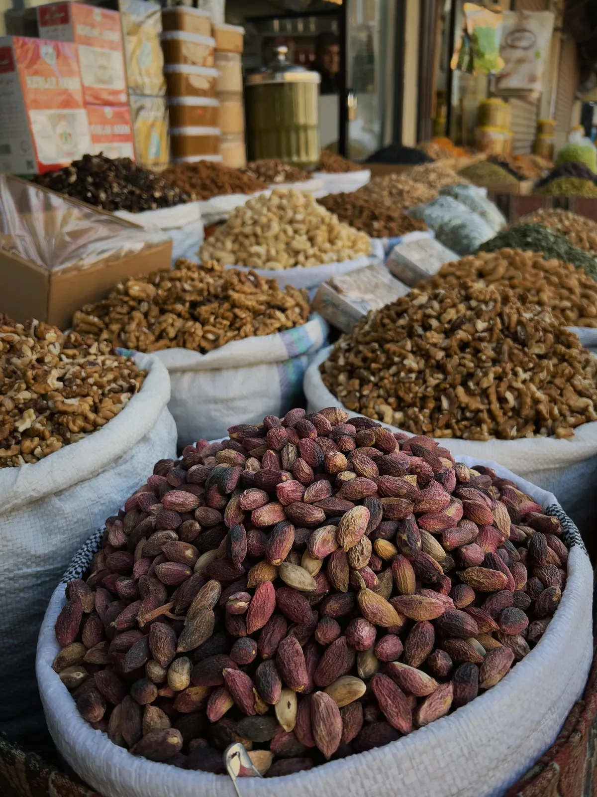 HortiLogistica Africa — pexels tkirkgoz 36181905