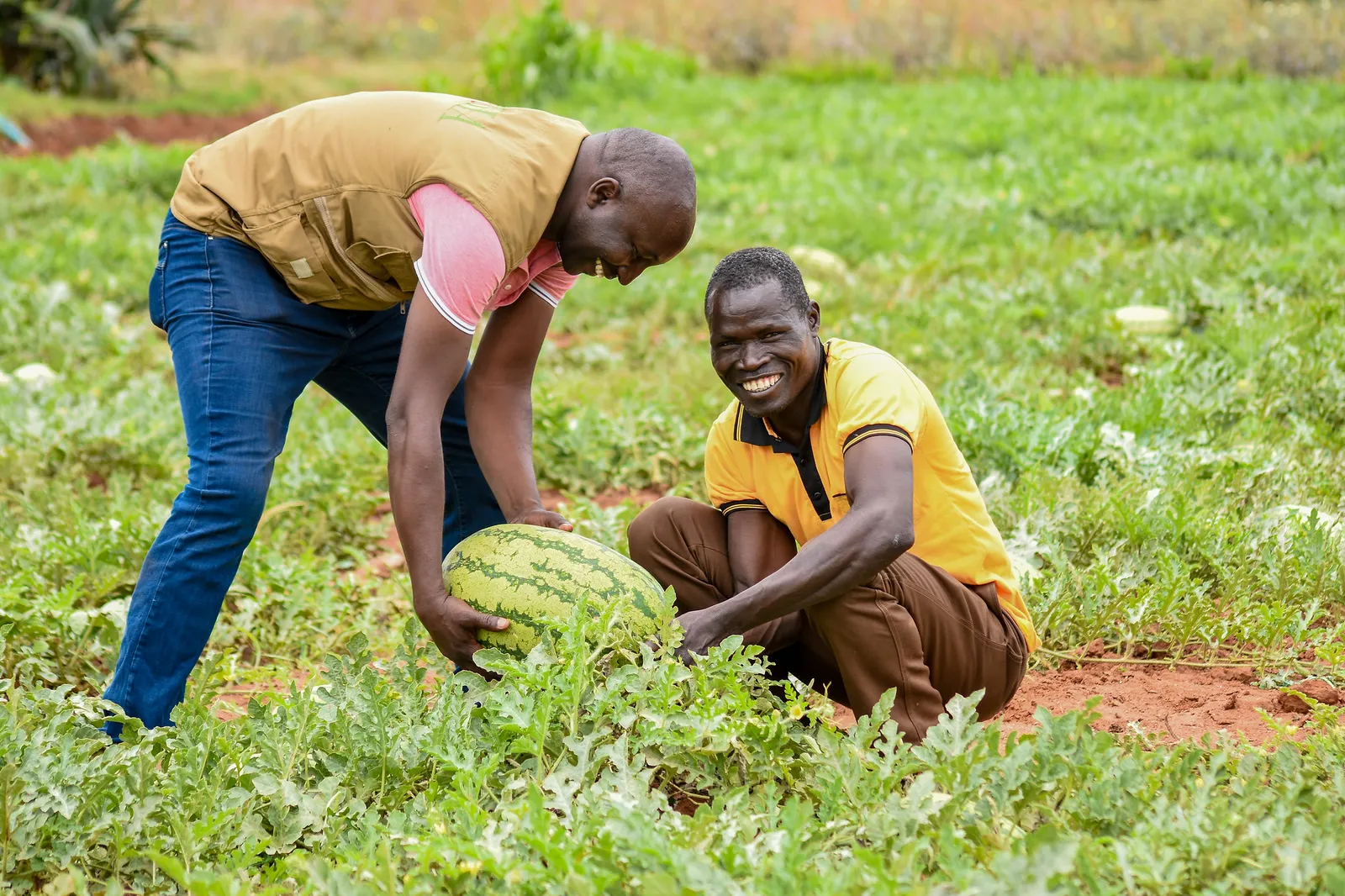 HortiLogistica Africa — philip shimba