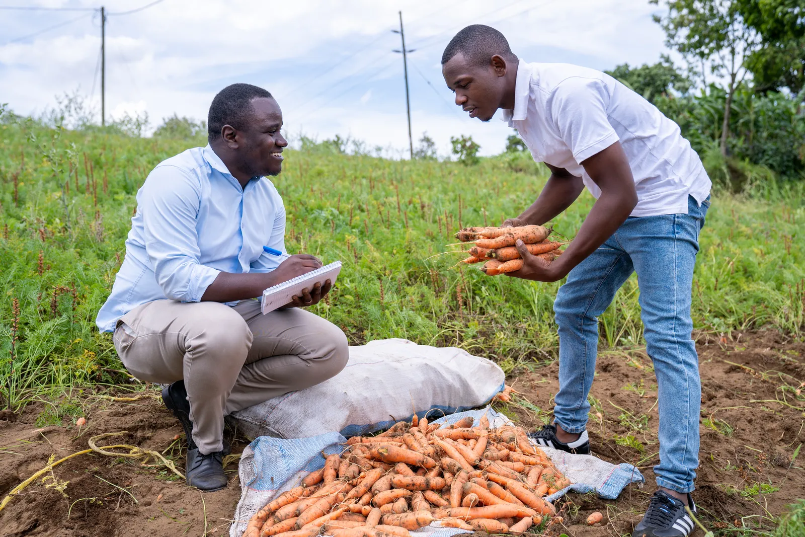 HortiLogistica Africa — sura wfp 6