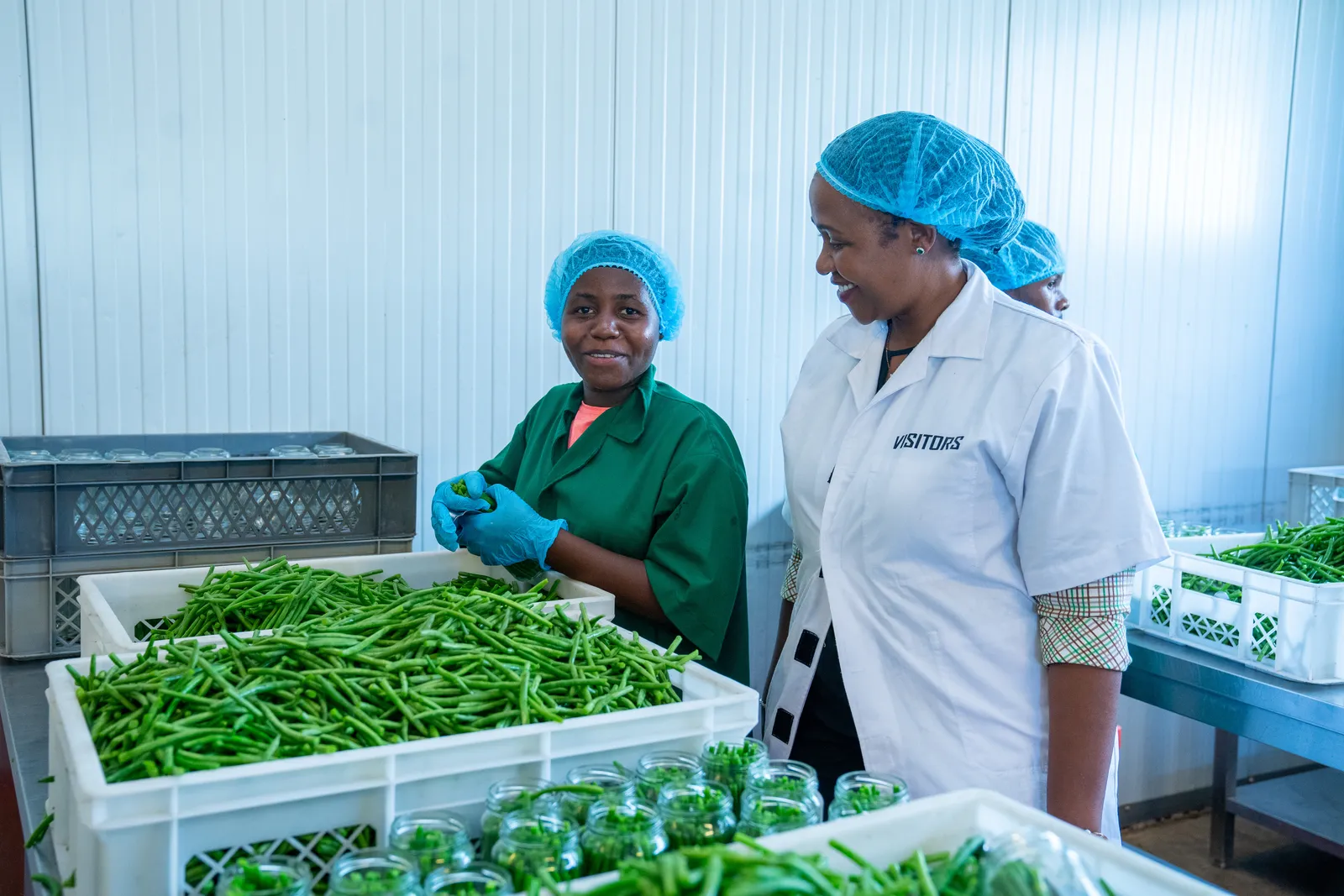 HortiLogistica Africa — sweden visit 2024 114