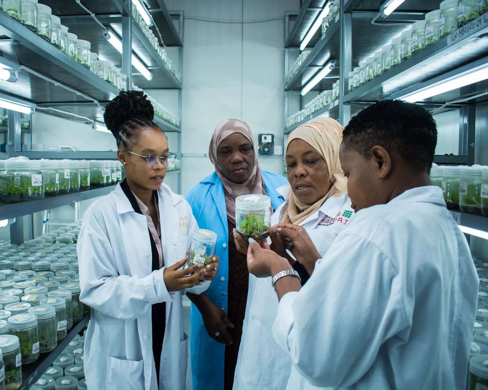 HortiLogistica Africa — taha 87