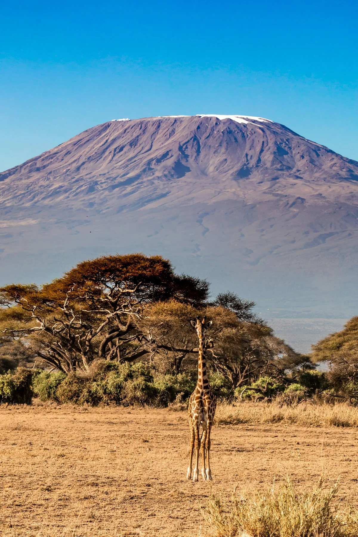 Mount Kilimanjaro