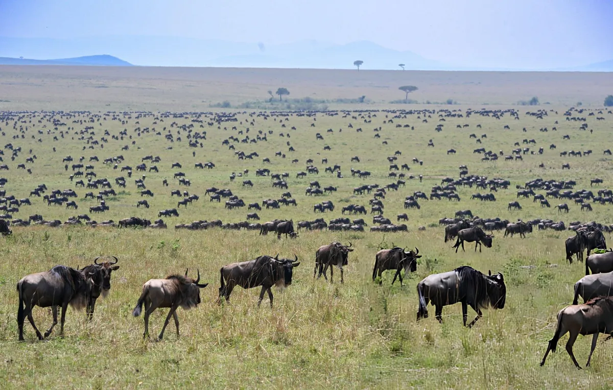 Tanzania