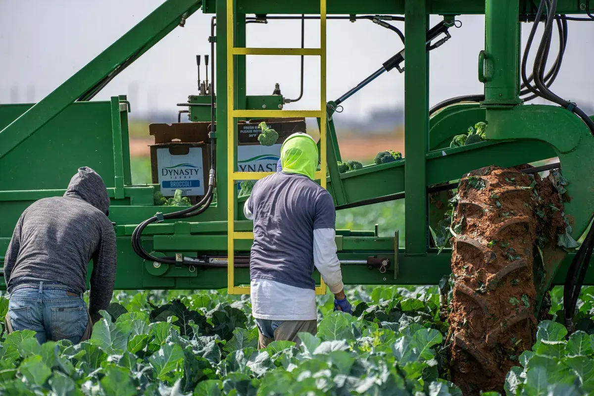 Agricultural technology and smart farming innovation
